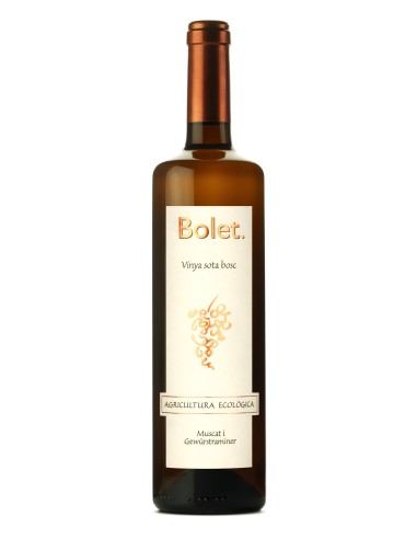 BOLET VI VINYA SOTA BOSC 22 ECO PENEDÈS